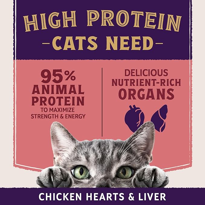 Natural Balance Ultra Protein Plus Wet Cat Food, Skin & Coat and Digestive Health Real Salmon With Pumpkin Puree Topper With Chicken Liver & Chicken Heart, High Protein Cat Food - 2.4 oz. (Pack of 24)