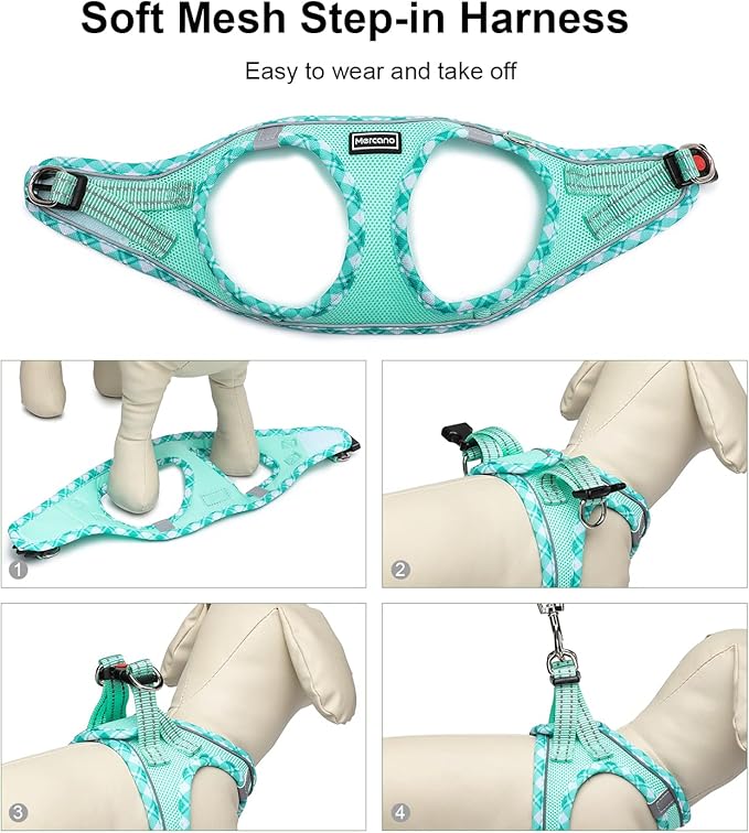 Mercano Soft Mesh Dog Harness and Leash Set, No-Chock Step-in Reflective Breathable Lightweight Easy Walk Vest Harnesses with Safety Buckle for Small Dogs, Cats (Light Green, XL)