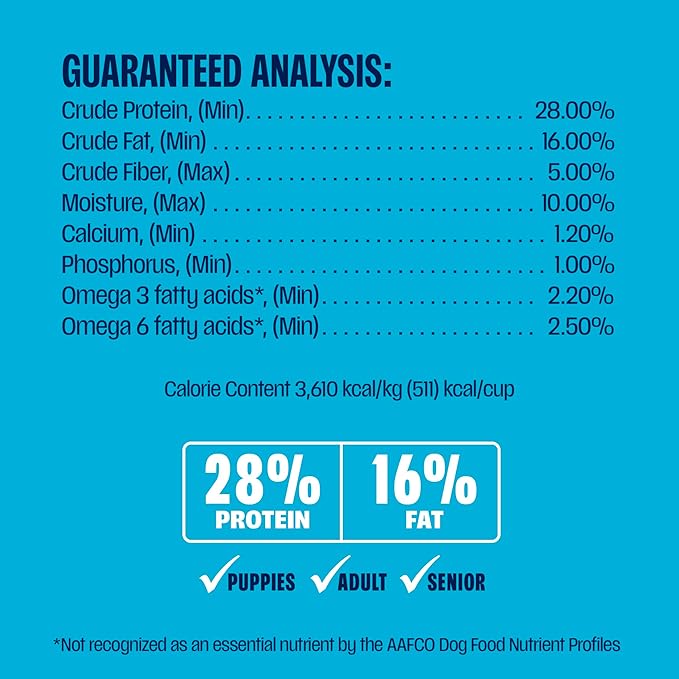 Muenster Ancient Grains Ocean Fish Dry Dog Food, 22lb - Gluten-Free, High Protein, Digestive Support