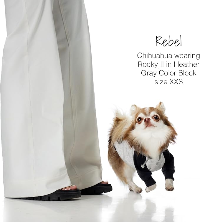 Rocky II - The Extra Comfy Hoodie, Organic Cotton and Recycled Poly Dog Hoodie Pet Coat Sweater for Small, Medium, Large Dogs, Heather Gray Color Block, XX-Small