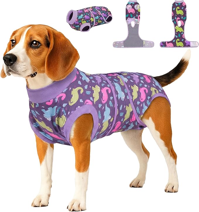 PetWarm Dog Surgical Suit Female Spay, Onesie for Dogs After Surgery, Substitute E-Collar and Cone, Pet Surgery Recovery Suit, Anti-Licking Dog Surgery Recovery Suit Soft, Dinosaur Pattern, Purple, M