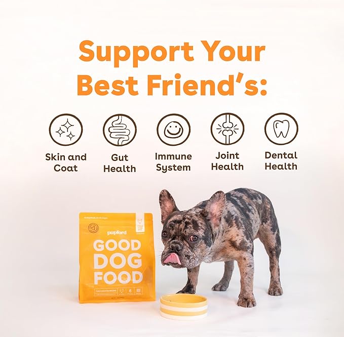 Pupford Good Dog Food, Freeze-Dried Raw, High-Protein, Superfood Ingredients, Vet-Approved, No Fillers or Artificial Additives (Chicken Recipe, 16 oz)