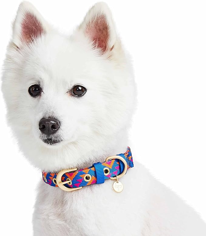 Blueberry Pet Southwestern Tribal Triangles Navy Blue Adjustable Dog Collar with Metal Buckle, Neck 19.5-26", for Large Breed