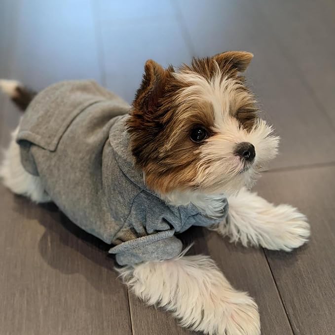 Jecikelon Winter Dog Hoodie Sweatshirts with Pockets Warm Dog Clothes for Small Dogs Chihuahua Coat Clothing Puppy Cat Custume (Grey, Large)