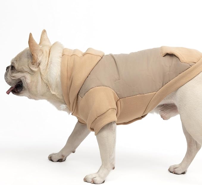 KOOLTAIL Warm Dog Winter Coat for Small Dogs, Waterproof Puppy Jacket with Leash Hole, Cold Weather Dog Vest for Winter, Soft Pet Hoodie Sweater Sweatshirt Clothes for Puppy Cats Girls Boys Beige S