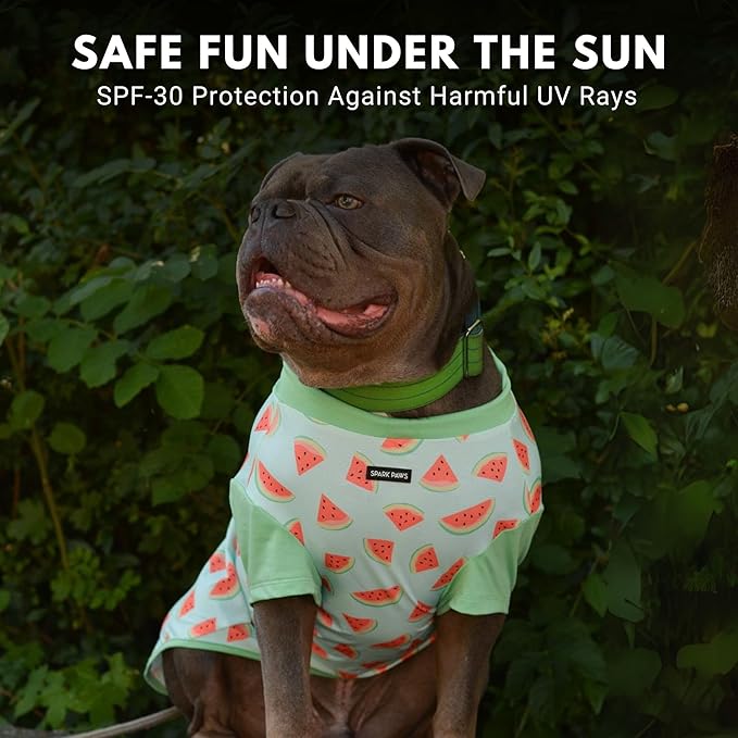 Spark Paws Sunblock Dog T-Shirt, SPF30 Protection, Lightweight Breathable Quick Dry for Dogs with Sensitive Skin - Watermelon & Peach (Set of 2) - 2XL