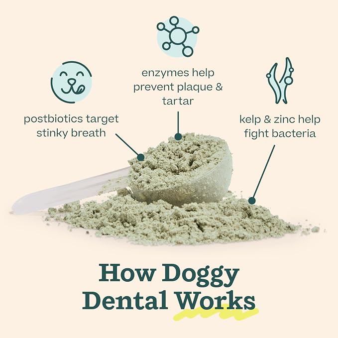 WOOF Dental Kit- Includes Pupsicle Dog Toy, Treat Tray, Shaker Bottle, Chicken Pupsicle Pops, and Dog Teeth Cleaning Powder - Supports Oral Health for Dogs - XL