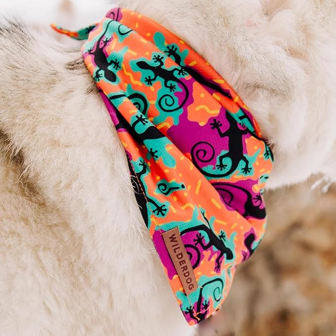 Wilderdog Dog Bandana with Lightweight Quick Drying Poly-Blend Mesh Material in The Lizards