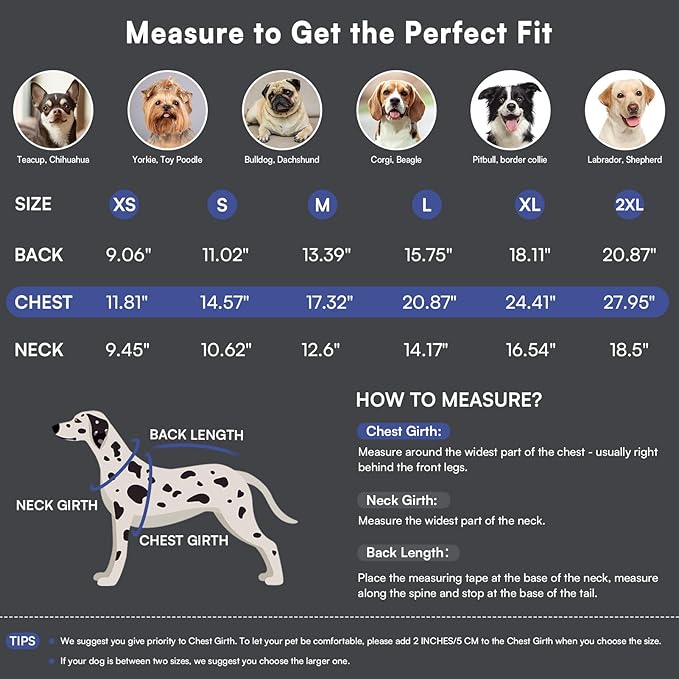 Queenmore Dog Sweaters for Large Dogs Girls Boys,Warm Pullover Extra Large Dog Sweater,Dogs Christmas Sweaters,Classic Turtleneck Thick Clothes for Extra Large Pets, Pitbull, Boxer(Royal Blue,2XL)