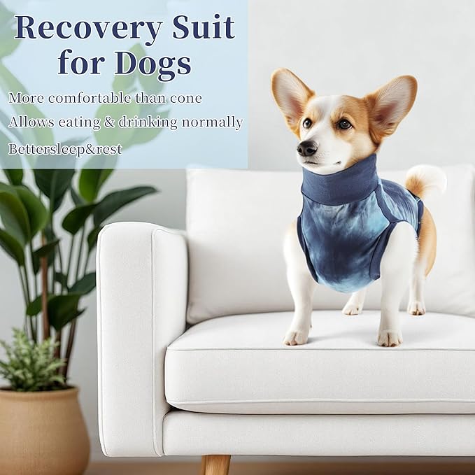 Recovery Suit for Dogs, Dog Onesie Suit for Post-Surgical, Dog Recovery Suit, Dog Clothes for Abdominal Wounds and Skin Conditions, Blue, Medium