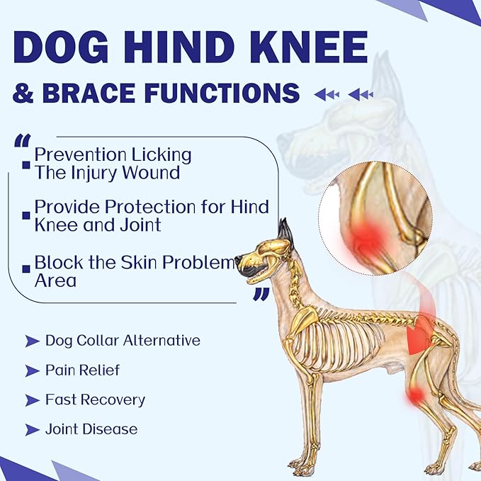 ROZKITCH Dog Surgery Leg Sleeve Rear Legs, Male Female Pet Prevent Licking Wound Elbow Knee Protector, Dog Recovery Suit Cone Collar Alternative Pants Shirt for Wound Heal Wrap Pink L
