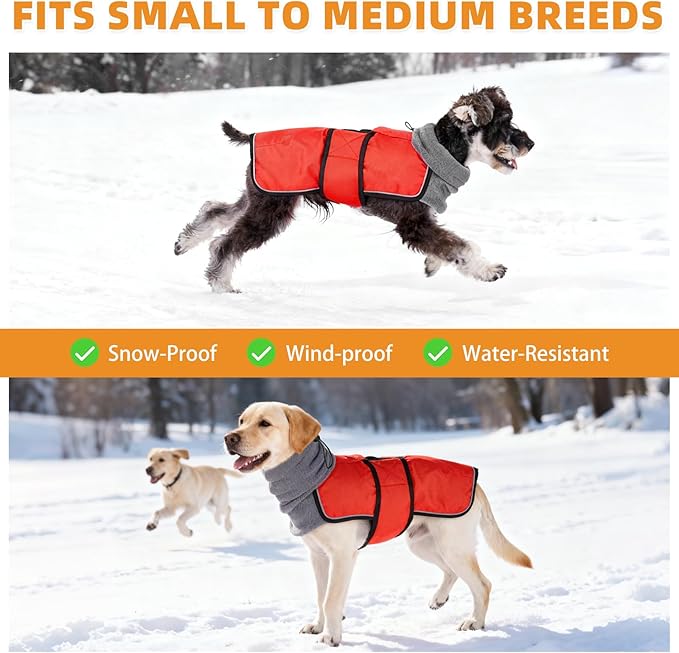 KOOLTAIL Dog Winter Coat for Small Medium Dogs Christmas, Waterproof&Windproof Puppy Jacket with Fleece Lining and High Collar for Cold Weather, Warm Pet Snowsuit Vest Clothes with Leash Hole, Red M