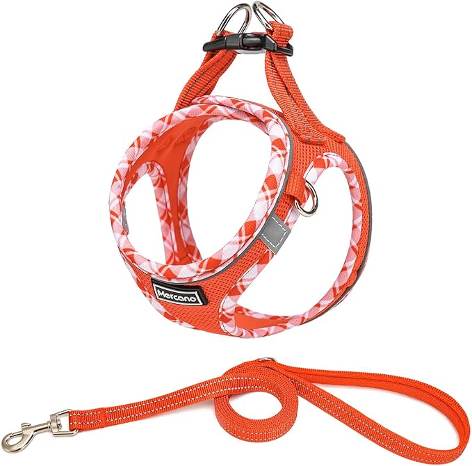 Mercano Soft Mesh Dog Harness and Leash Set, No-Chock Step-in Reflective Breathable Lightweight Easy Walk Vest Harnesses with Safety Buckle for Small Dogs, Cats (Tangerine, XXS)