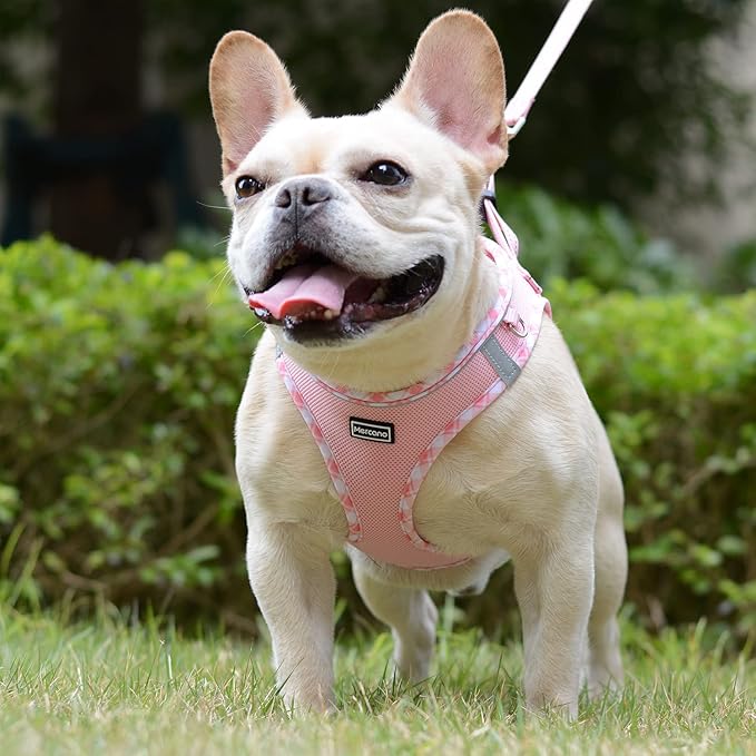 Mercano Soft Mesh Dog Harness and Leash Set, No-Chock Step-in Reflective Breathable Lightweight Easy Walk Vest Harnesses with Safety Buckle for Small Dogs, Cats (Pink, M)