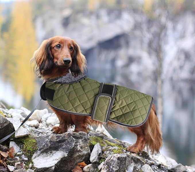 Dachshund Coat Dog Coats for Dachshunds Dachshund Winter Jacket with Padded Fleece Outdoor Dog Clothes with Adjustable Bands - Green - M