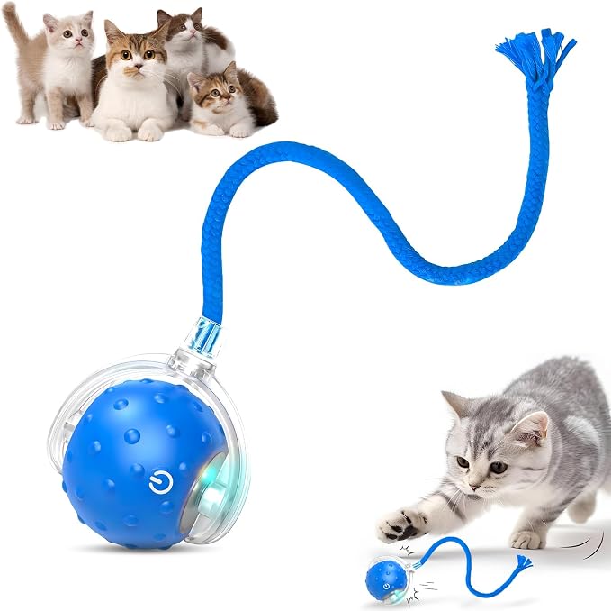 Tiny Fetch Dog Toy, Tinyfetch Interactive Dog Cat Toys Balls with Birdsong, 360° Smart Automatic Rolling Electric Dog Ball Toy, Fast Moving Balls Toys for Pets (Blue)