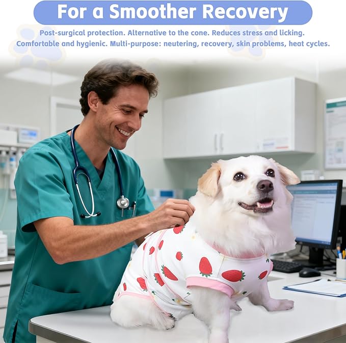 Dog Cat Recovery Suit Pet Glam After Surgery Onesie Cone Alternative Post Surgical Bodysuit Neuter & Abdominal Wound Care Cotton Prevents Licking Male Female (Fruit, XXL)