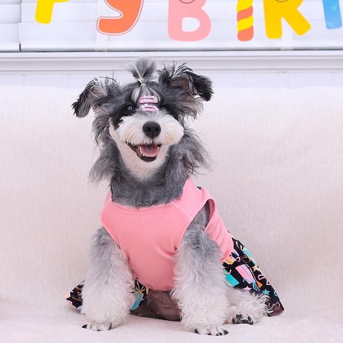 CuteBone Birthday Dog Dresses Velvet Holiday Small Dogs Clothes Onesie Pet Apparel Girl Puppy Skirt with Bow Hair Rope CVA48M-D