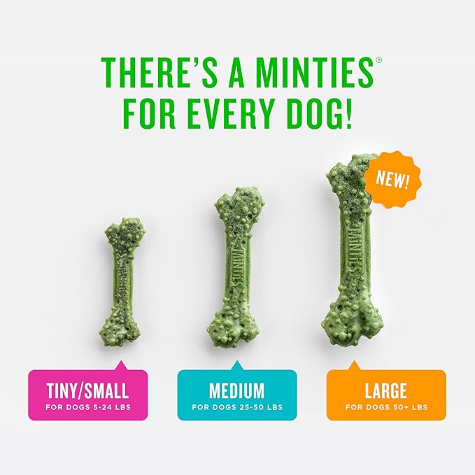 Minties Dental Chews for Dogs, 24 Count, Vet-Recommended Mint-Flavored Treats for Large Dogs Over 50 lbs, Dental Bones Clean Teeth, Fight Bad Breath, and Removes Plaque and Tartar