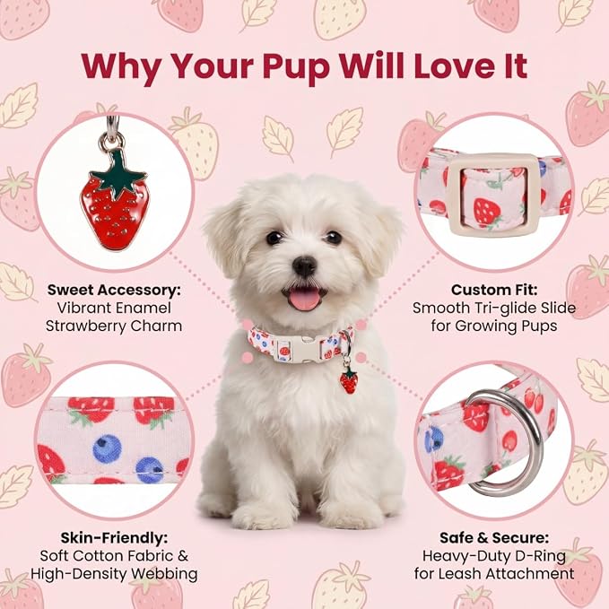 Girl Dog Collar, Cute Dog Collar for Medium Dogs with Cute Strawberry, Cherry and Blueberry Print, Pink Collar for Dogs with Quick-Release Buckle and Robust D Ring, M