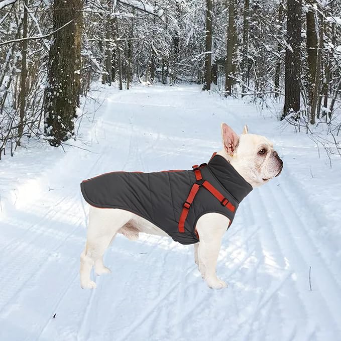 Geyecete Winter Warm Coat Waterproof Dog Winter Jacket with Harness Traction Belt,Windproof Pet Outdoor Jacket-Gray-L