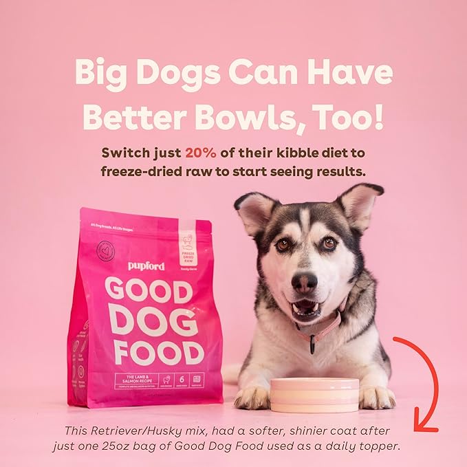 Pupford Good Dog Food, Freeze-Dried Raw, High-Protein, Superfood Ingredients, Vet-Approved, No Fillers or Artificial Additives (Beef Recipe, 25 oz)