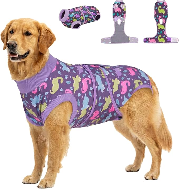 PetWarm Post Neuter Surgery Suit for Dogs Male, Dog Coat's Inner Clothes, Substitute E-Collar and Cone, Dog Onesies Pet Surgery Recovery Suit for Dogs, Dinosaur Pattern, Purple, XL