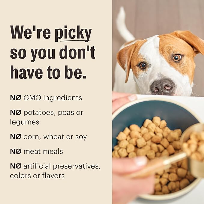 The Honest Kitchen Human Grade Whole Food Clusters Dry Dog Food - Whole Grain Chicken & Oat, 20 lb Bag