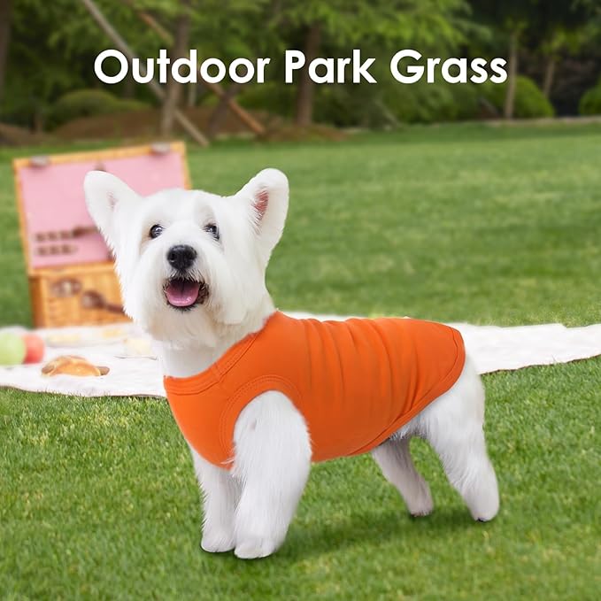 3 Pack Orange Striped Dog T-Shirts,X-Small Sleeveless Puppy Tank Top,Spring Summer Outdoor Sun Protection Tee Shirt,Lightweight for Chihuahua Lounge Wear,Party,Travel(Orange,XS