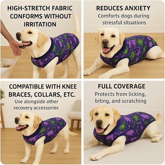 PetWarm Dog Recovery Suit Male Neutered Surgery, Onesies for Dogs, Dog Cone Alternative After Surgery, Substitute E-Collar and Cone Prevent Pet Surgery Recovery Suit, Dinosaur pattern, Blue Purple, XL