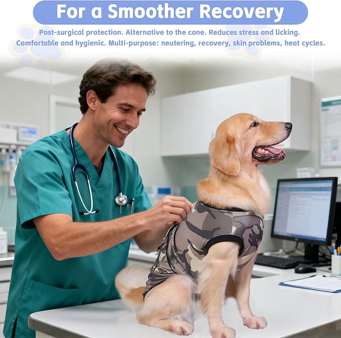 PET Glam Recovery Suit for Dogs Cats, After Surgery, Alternative E-Collar Dog CAT. PET Shirt Breathable Abdominal Wounds, Neuter Cotton, Prevent Licking Onesie Surgical (Green, XXL)
