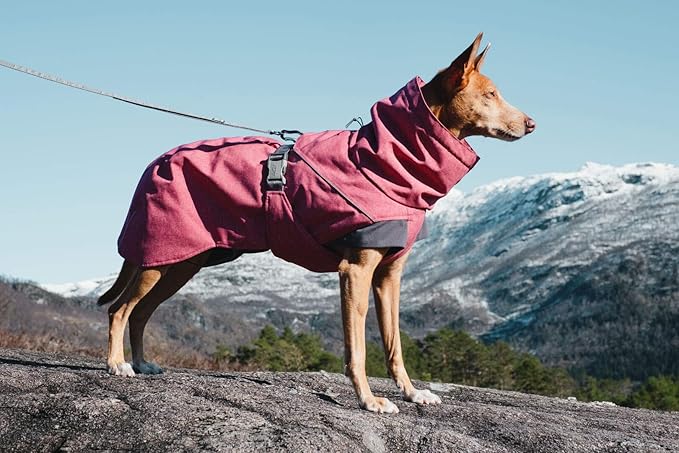 Hurtta Expedition Parka, Winter Dog Coat, Beetroot, 26 in