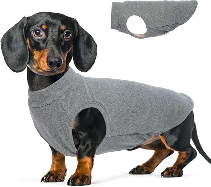 Dog Fleece Vest - Grey, L - Soft Warm Sleeveless Sweater | Stretchable Sweatshirt for Small Breeds, Lightweight for Outoor Walking, Dachshund Clothes, Mini Schnauzer