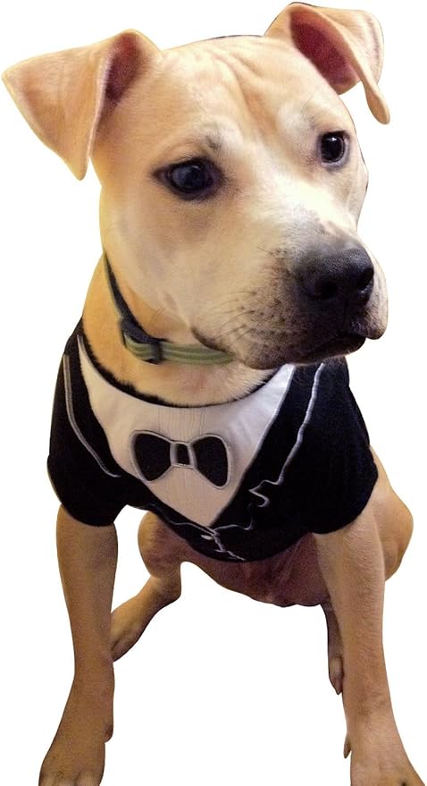 Frenchie Mini Couture Dog Tuxedo, (Large)