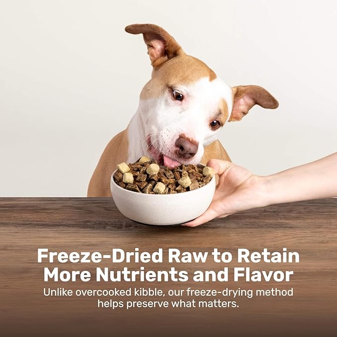 BADLANDS RANCH Superfood Nuggets – Freeze-Dried Raw Dog Treat & Food Topper, Nutrient-Dense Duck & Kale Formula, High Protein, No Artificial Additives, 8oz Bag