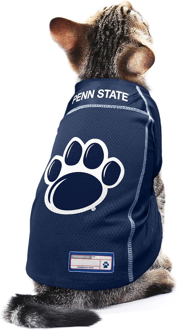 Littlearth Unisex-Adult NCAA Basic Pet Jersey
