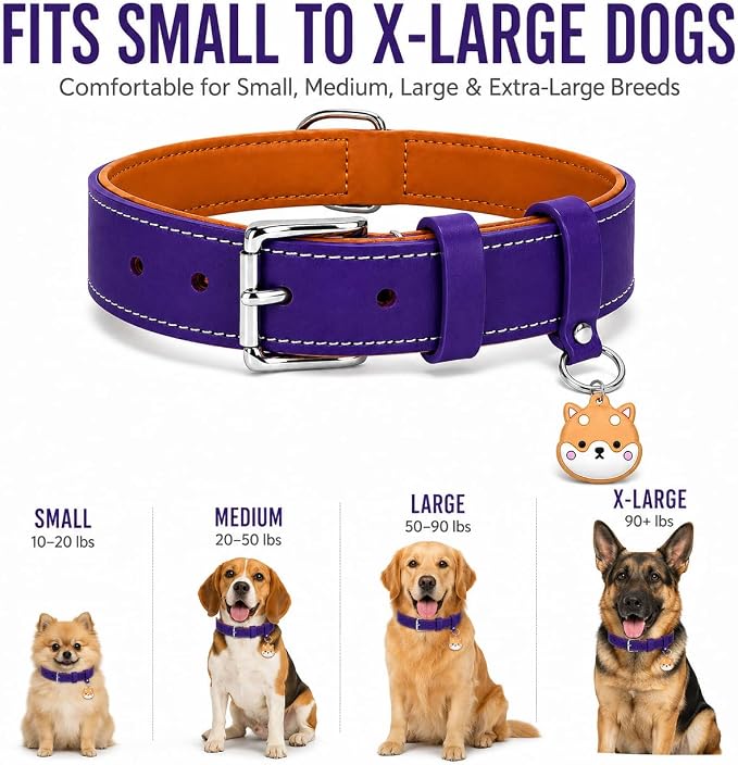 Genuine Leather Dog Collar, Soft Padded Leather Dog Collars with Airtag Holder Case for Small Medium Large X-Large Dogs,Comfort Heavy Duty Pet Collar with Durable Metal Buckle & D-Ring-Dark Purple/XL