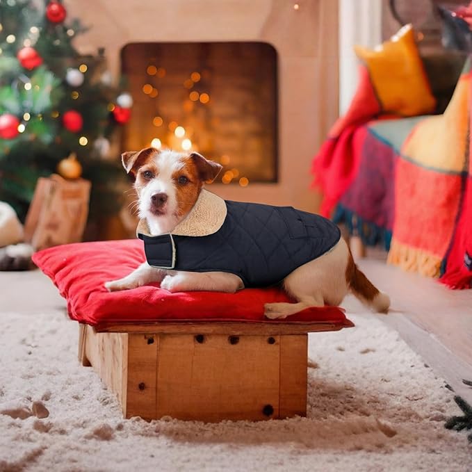 Dog Winter Coat for Small Dogs, Puppy Solid Jacket, Pet Warm Coat for Cold Weather, Windproof Pets Thickened Outfits Garments Indoor Outdoor, NavyBlue XS