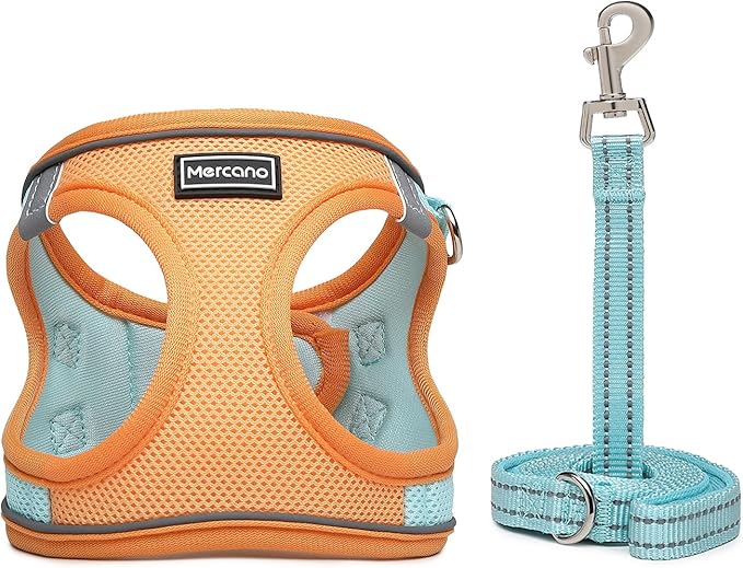 Mercano Soft Mesh Dog Harness and Leash Set, No-Chock Step-in Reflective Breathable Lightweight Easy Walk Vest Harnesses with Safety Buckle for Small Dogs, Cats (M, Orange Blue)