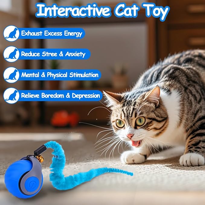 2PCS Interactive Cat Toy Ball, Rechargeable Cat Toys for Indoor Cats