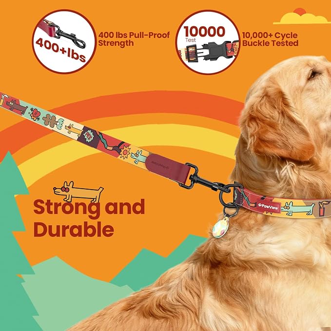 Dog Collar and Leash Set with QR ID Tag, 5 FT Leash, Red, M
