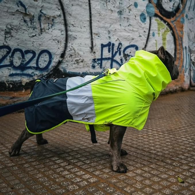 Spark Paws Dog Raincoat, Waterproof Windproof Rain Jacket, for Small Medium Large Extra Large Dogs, Reflective Breathable Full-Body Coverage Dry Suit - Neon White Navy Blue, S