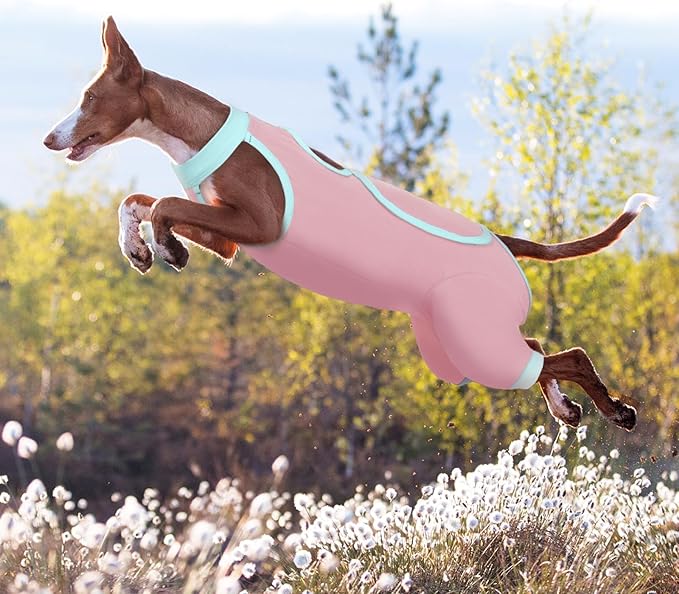 ROZKITCH Dog Surgery Leg Sleeve Rear Legs, Male Female Pet Prevent Licking Wound Elbow Knee Protector, Dog Recovery Suit Cone Collar Alternative Pants Shirt for Wound Heal Wrap Pink L