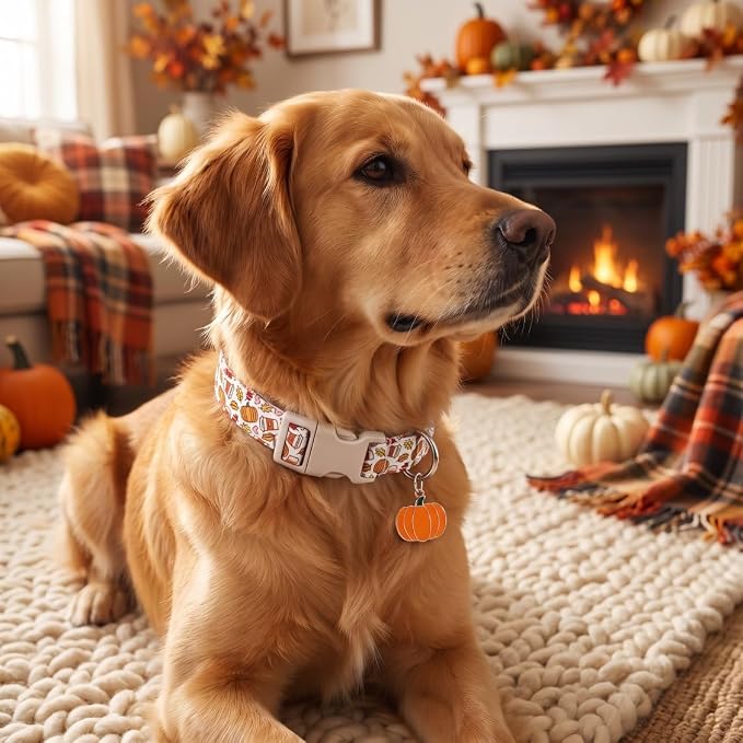 Fall Dog Collar, Puppy Collar for Extra Small Girls Boys Dogs, XS