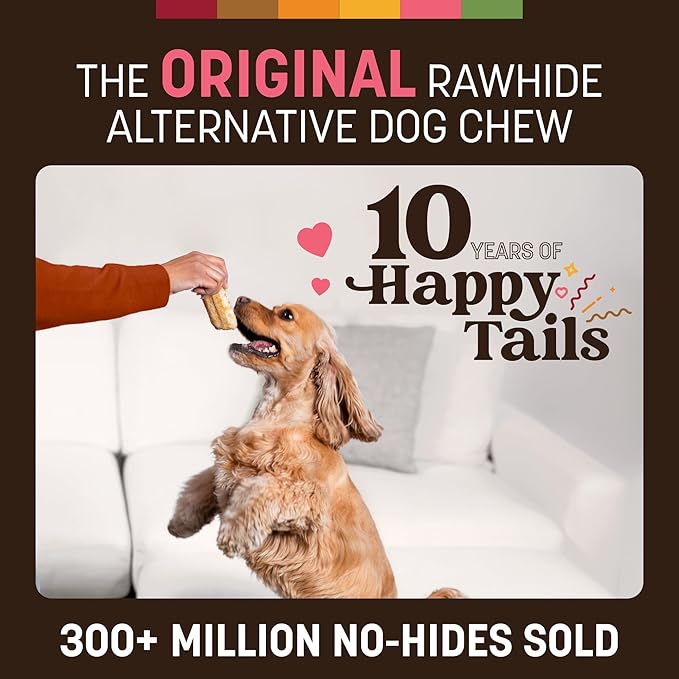 Earth Animal No Hide Chews - Long Lasting Rawhide Free Small Dog Chews Rolls, Salmon - 2 Count