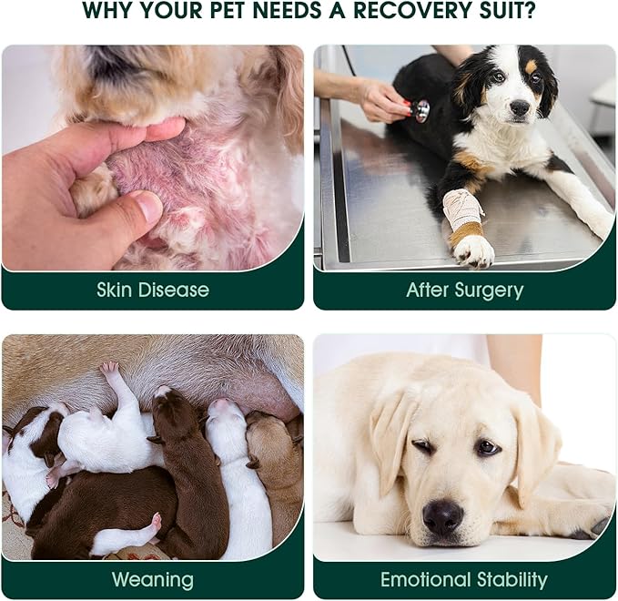 Kuoser Recovery Suit for Dogs, Adjustable Female Spay Dog Surgery Suit, Pet Surgical Shirt Male Neuter Anti Licking Abdominal Wounds Puppy Onesie Bodysuit, Alternative to Doggie Cone After Surgery