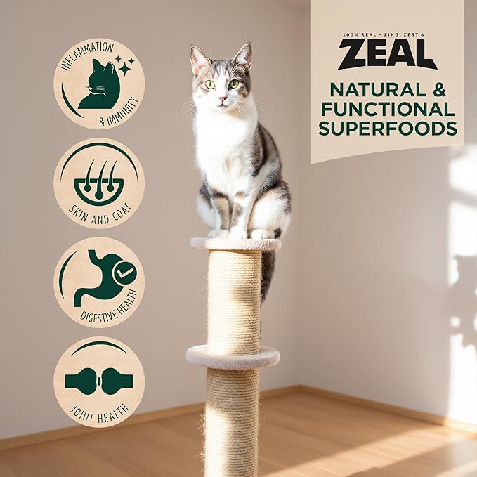 ZEAL Canada Air-Dried Salmon & Turkey Recipe for Cats - Superfood Omega-3 Rich, Dual-Protein, Grain Free, No Fillers, Complete Nutrition (Salmon & Turkey, 5 oz)