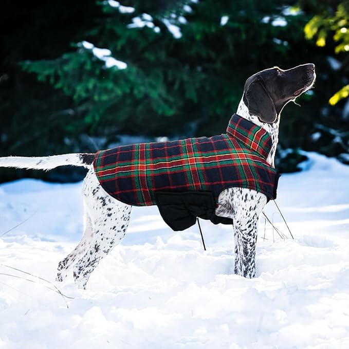 Kuoser Waterproof Dog Coat, Reversible Dog Jacket for Small Dogs, Adjustable Durable Doggie Winter Coat Warm Cozy Puppy Cold Weather Apparel from Small to Large Breed, RoyalBlue S