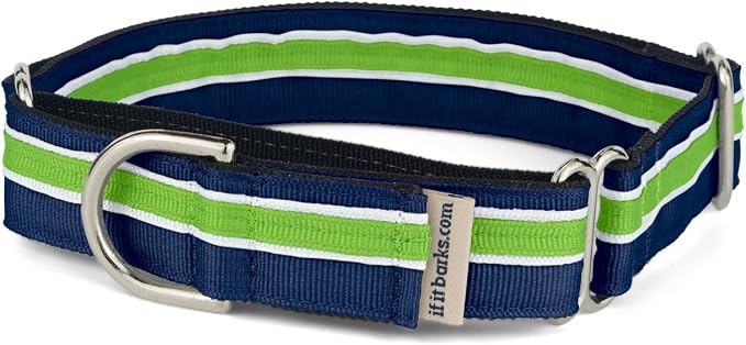 If It Barks 1" Martingale Collar for Dogs, Adjustable Nylon, USA Made, Large, Finley