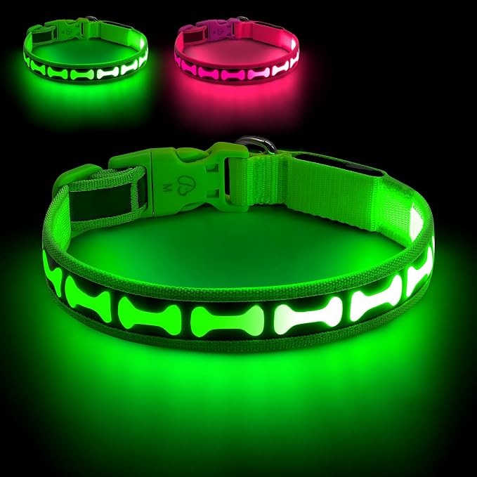 Flashseen LED Dog Collar Light Up USB-C Rechargeable (Green, Large)